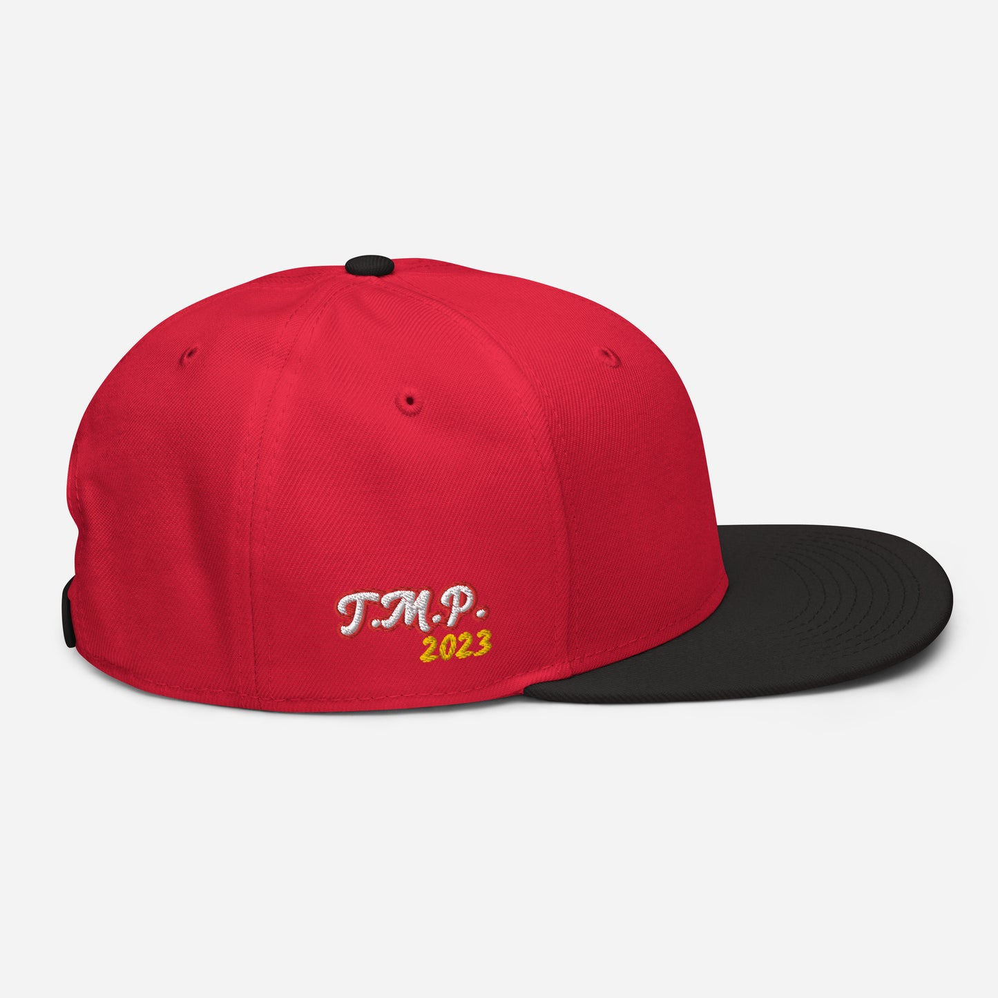 Snapback Hat - 'TMP I.C.D.' Peppermint (CEO)